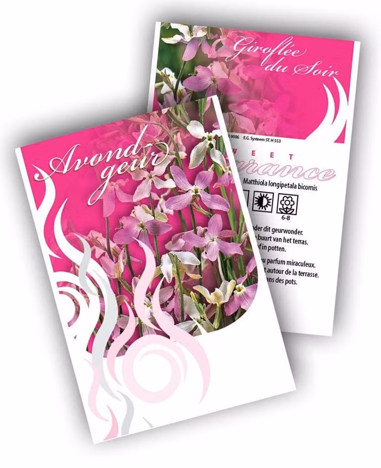 Sluis Garden Cadeau Premium Matthiola - 100 zakjes