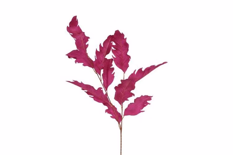 Countryfield zijden tak Alnus Colourfull paars, 112 cm