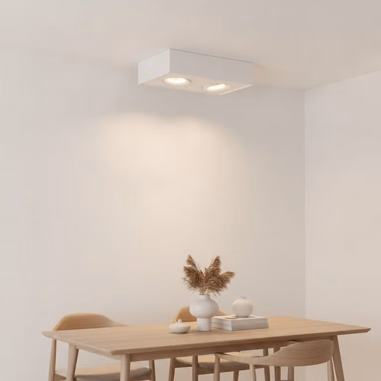 Artdelight Brooklyn Plafondlamp Wit - 2 Licht - Dim-to-Warm LED - Industrieel Design