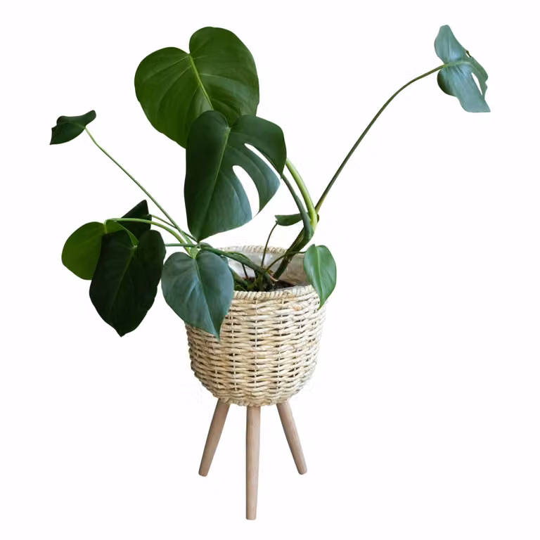 QUVIO Plantenmand op driepoot - Breedte: 26 cm, Hoogte: 41,5 cm