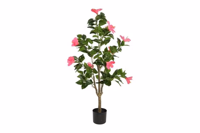 Countryfield zijden Hibiscus plant fuchsia roze, Hoogte: 120 cm