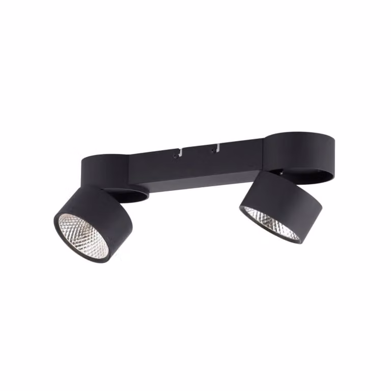 Paul Neuhaus Pure Nola LED plafondlamp, 2-lichts, zwart