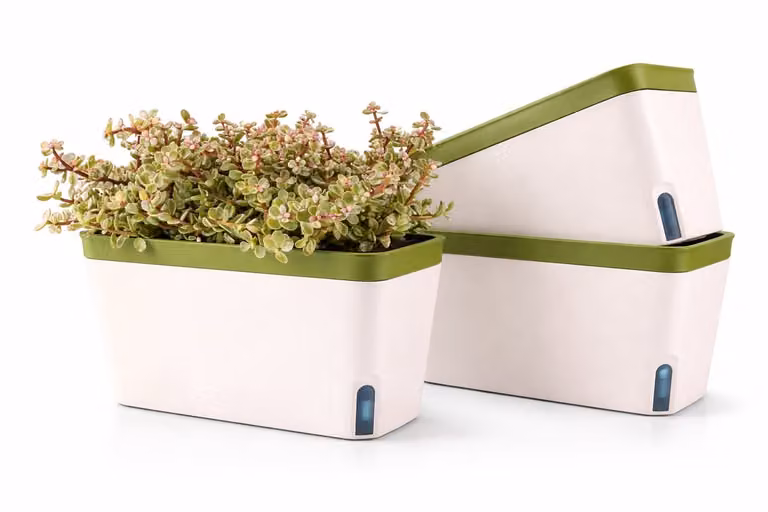 Set van 3 zelfwatergevende rechthoekige plantenbakken met waterniveau venster voor binnen en balkon