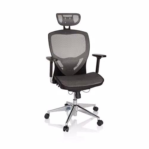 hjh OFFICE Venus One ergonomische bureaustoel met lendensteun en verstelbare armleuningen, zilvergrijs