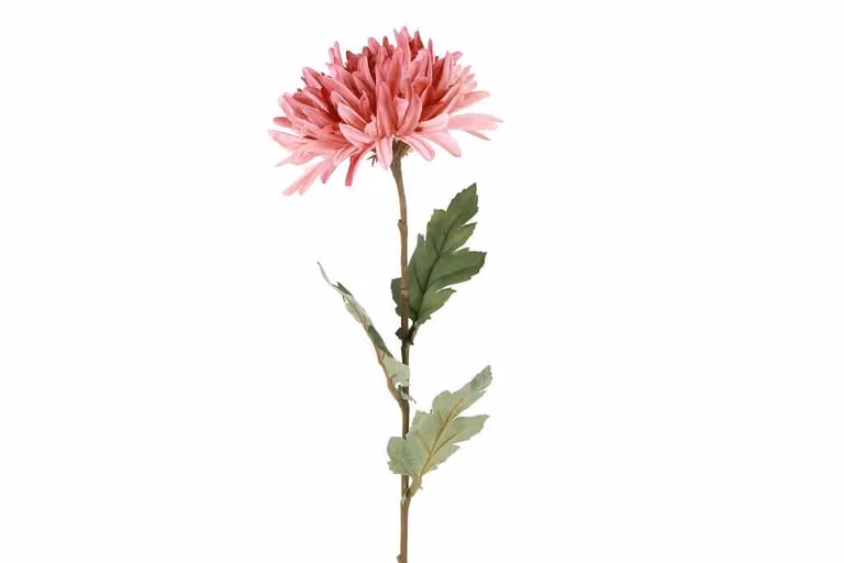 Countryfield zijden Chrysanthemum Vienna roze 68 cm
