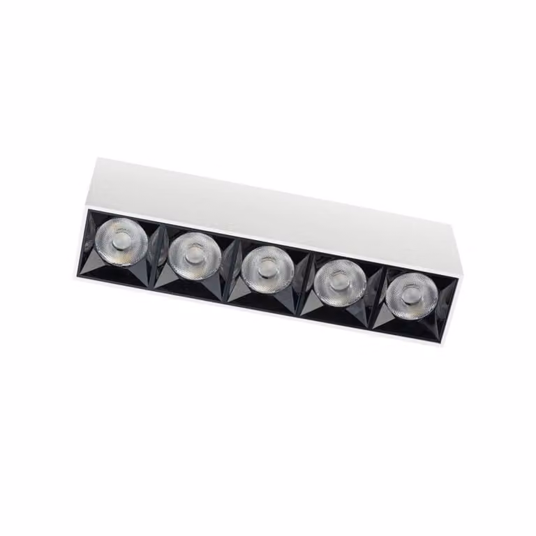 Lyora Witte opbouwspot Midi Led 5x1 4000K Aluminium
