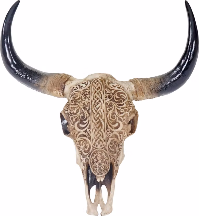 Mendler Deko schedel HWC-T454 stier met tribale details polyresin Hoogte: 65 cm