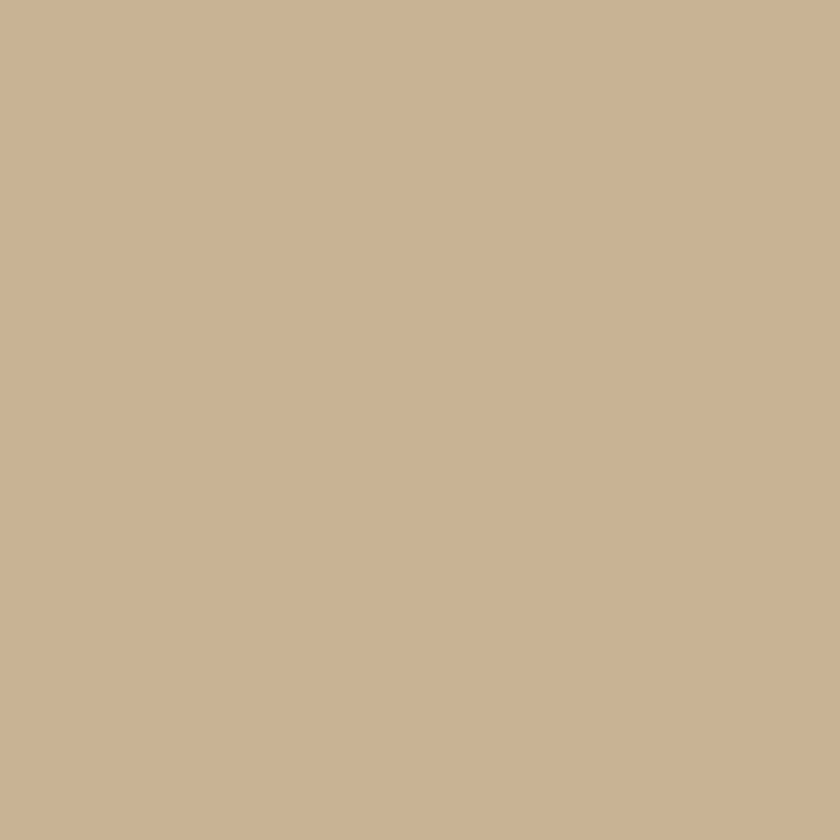 ESTAhome Muurverf Mat Beige 2 l (ca. 18 m²)