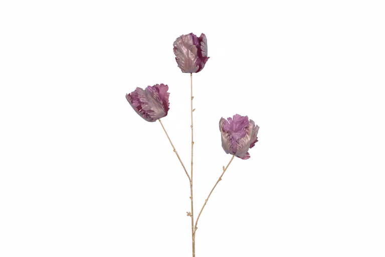 Countryfield zijden tulp paars glans 85 cm