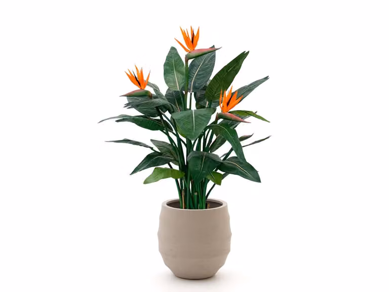Designplants Luca Lifestyle Kunstplant Oranje Kunststof