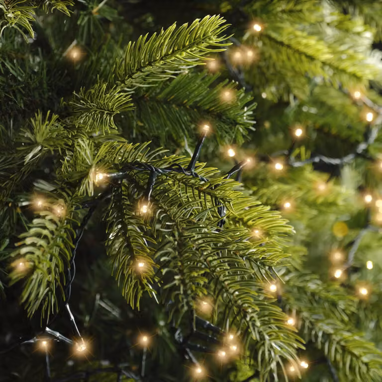 Lumineo Kerstverlichting LED Compact Ricelights Buiten 750 cm