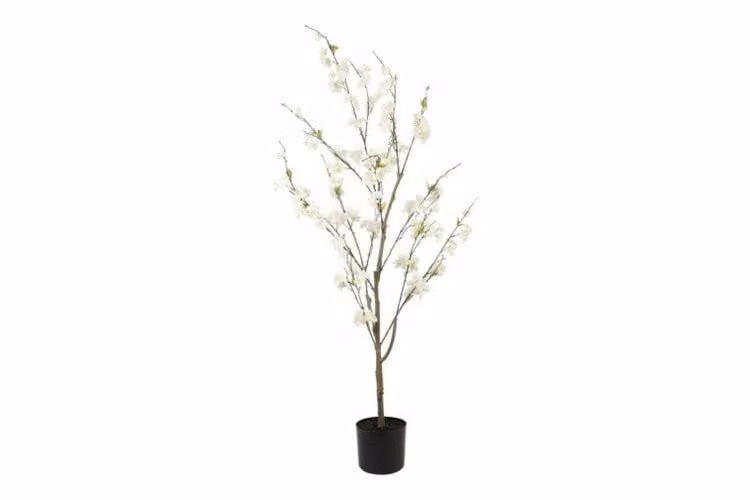 Countryfield zijden Prunus S plant, wit, 153 cm
