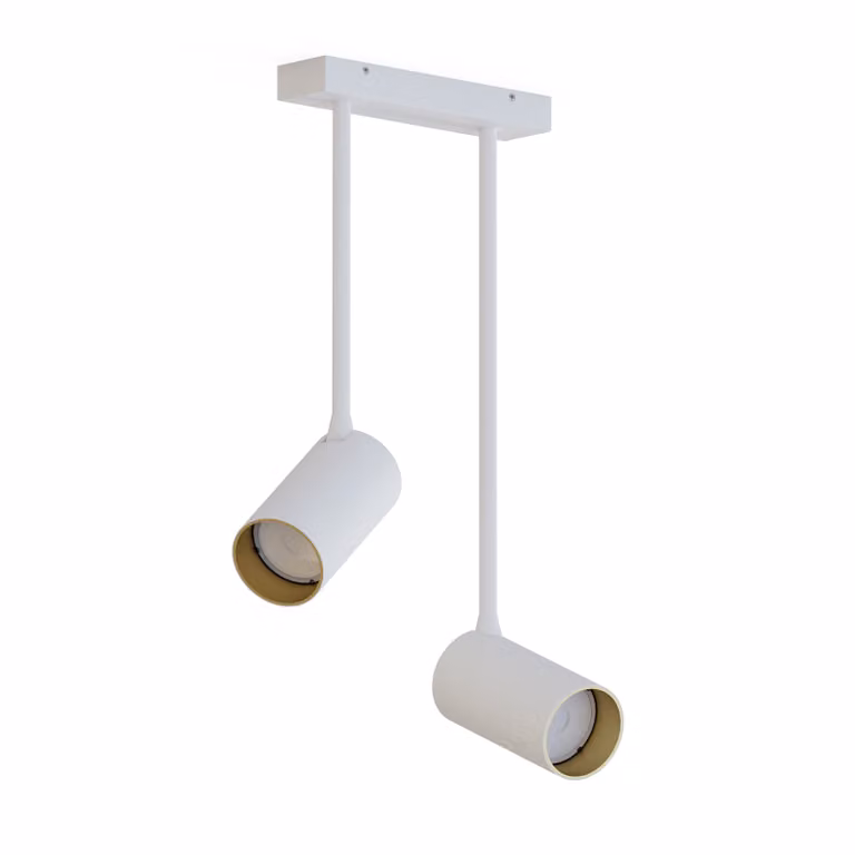 Lyora 2-lichts opbouwspot Mono Long richtbaar in wit of goud/messing