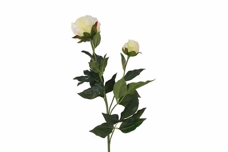 Countryfield zijden Paeonia Dian bloem decoratie wit