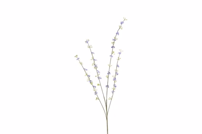 Countryfield zijden Cytisus paars, 108 cm