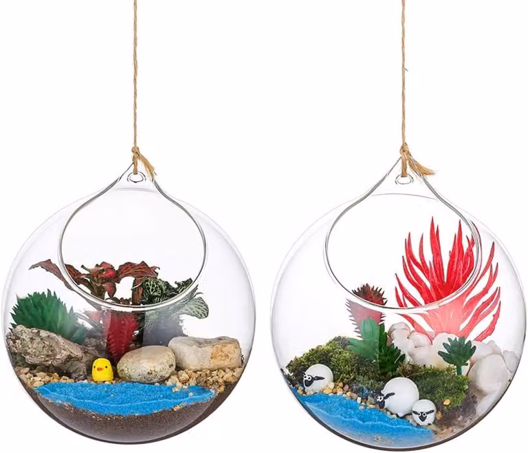 Set van 2 Glazen Terrarium Bollen voor Planten - Hangers voor DIY Decoratie - Diameter: 12 cm