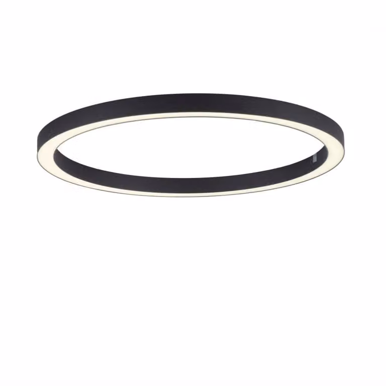 Paul Neuhaus Pure Lines Round LED vloerlamp, antraciet, Ø 70 cm