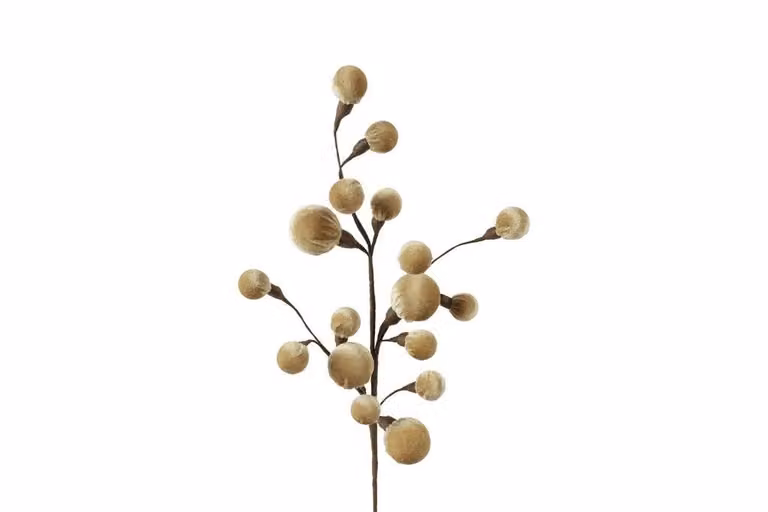 Countryfield zijden tak Miro beige 60 cm