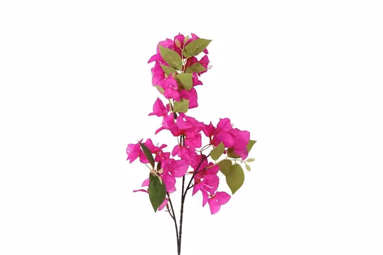 Countryfield zijden Bougainvillea Kreta paars 77 cm