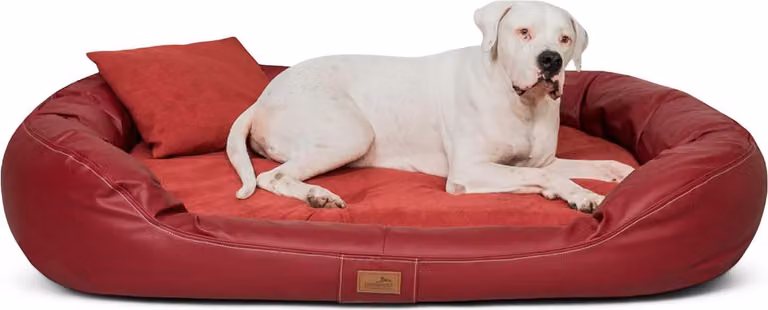 Tierlando Orthopedisch hondenbed LENNART VIP VISCO PLUS in kunstleer en velours, Donkerrood, 170 x 110 cm