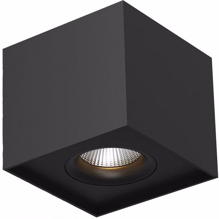 Iblocc Lyora Led plafondspot zwart