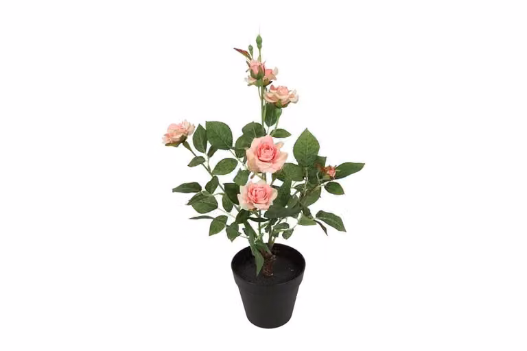 Countryfield zijden Camellia kunstplant roze, 50 cm