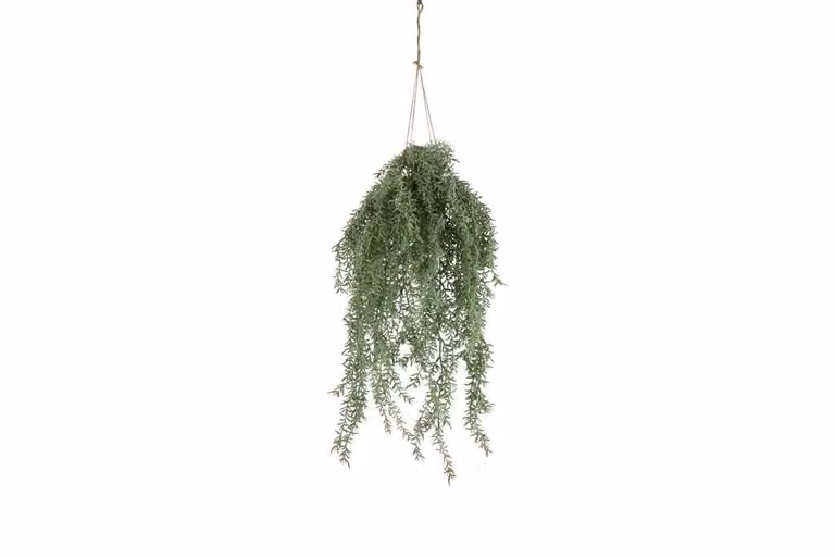 Countryfield Asparagus zijden hangplant groen, 85 cm