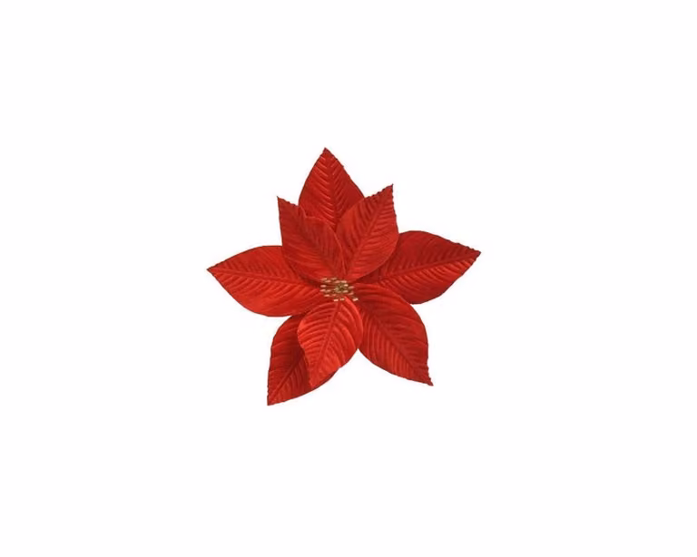 Rode Poinsettia op clip van fluweel, 25 cm
