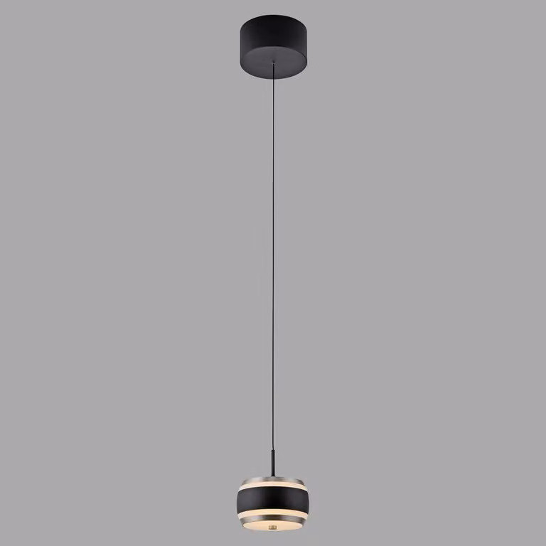 Paul Neuhaus Pure Falling Rings LED hanglamp zwart met ring ontwerp