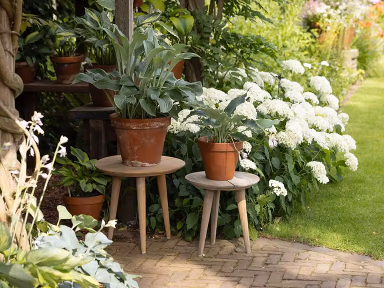 ROUGH Furniture Bijzettafel voor in de tuin, Rond, Teakhout, Bruin/Grijs, Ø40 cm