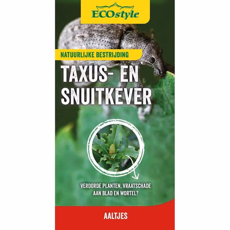 Ecostyle aaltjes tegen larven van de taxuskever voor 1000 m²