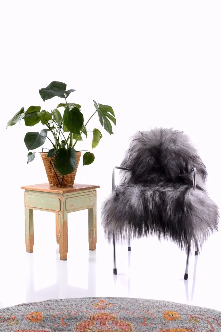 Wildlife Design Schapenvacht - Langharige zwart grijze meerkleurige IJslandse schapenvel voor decoratie van stoel of bank
