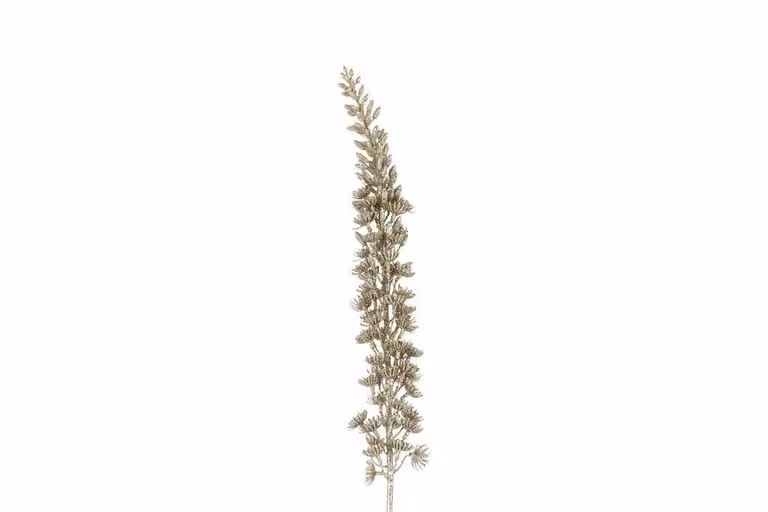 Countryfield zijden Eremurus goud, 109 cm
