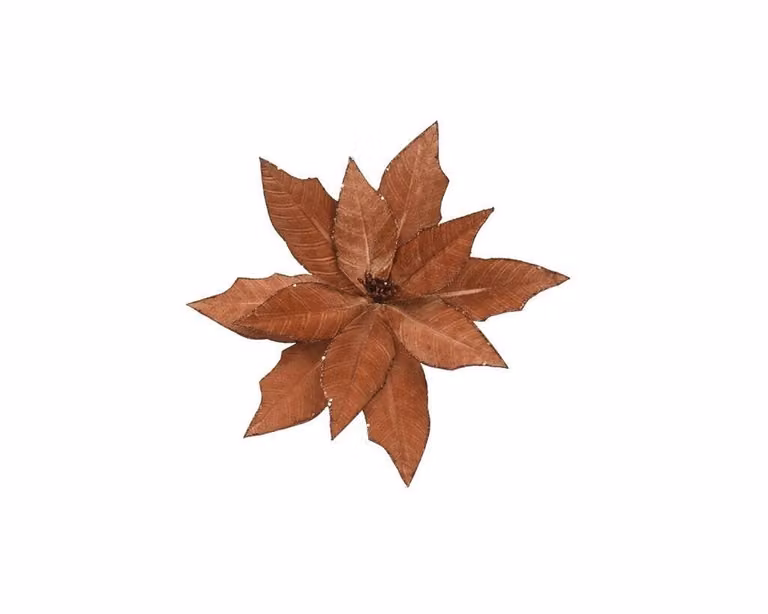 Poinsettia op clip van fluweel, expresso brown, 35 cm