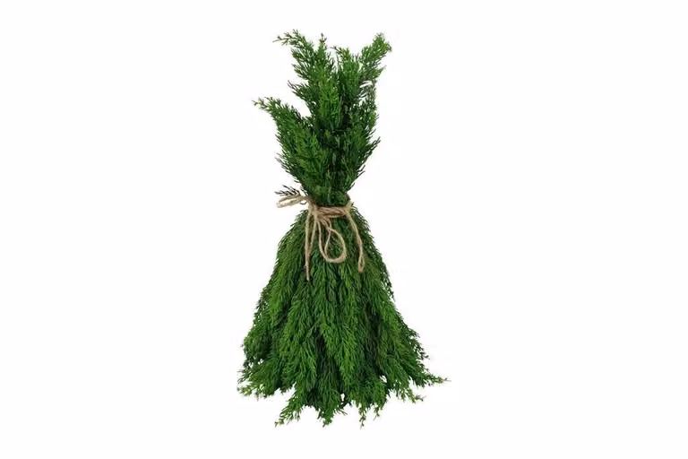 Countryfield zijden dennentak Juniperus groen, 51 cm
