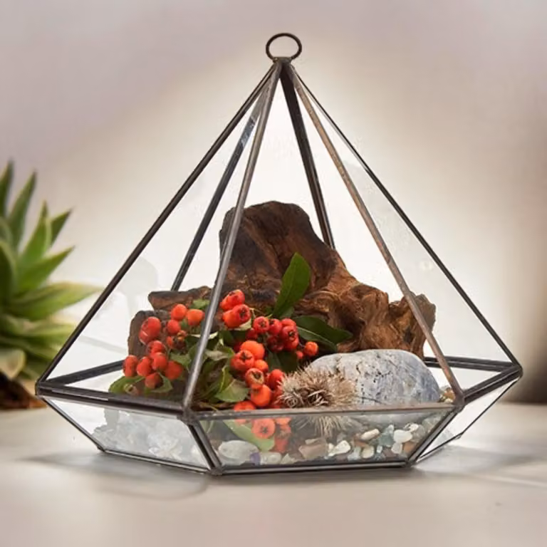 Ancient Wisdom hangend glazen terrarium voor volwassenen - Groot model