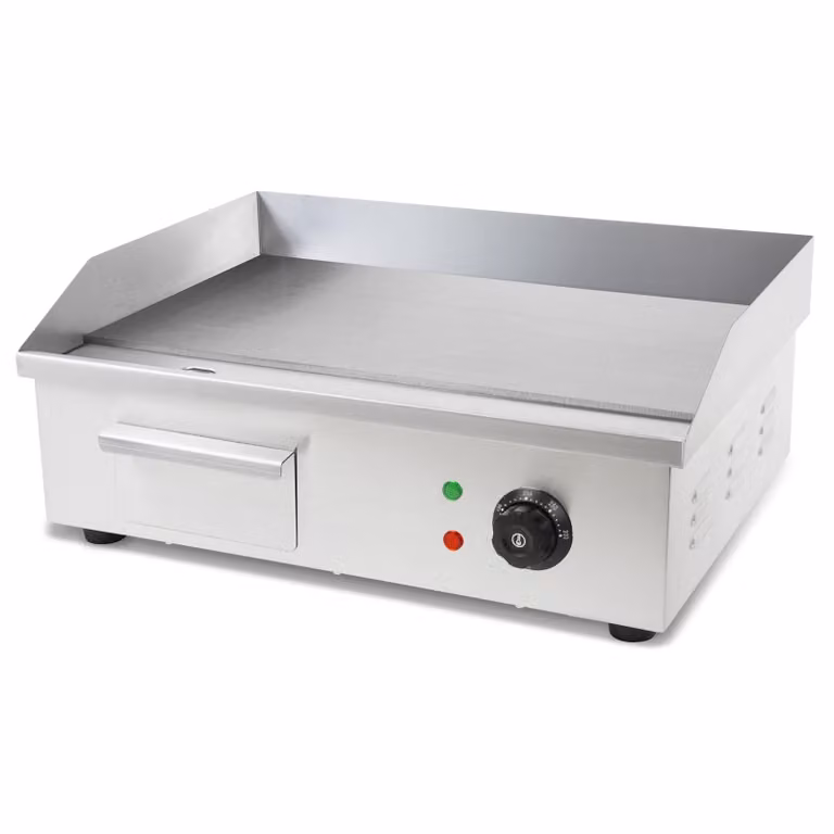 VERTES Elektrische Grillplaat Plancha met Thermostaat, 3000W, Roestvrij Staal, Grilloppervlak: 55 x 35 cm