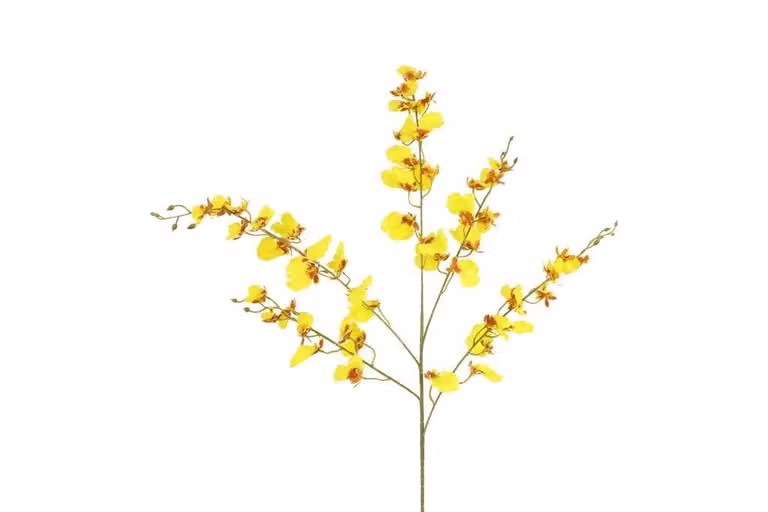Countryfield zijden Phalaenopsis bloem geel 90 cm