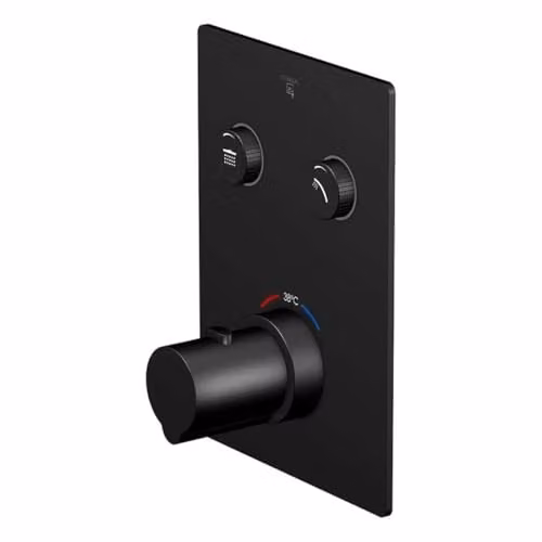 Steinberg inbouw thermostaatkraan serie 390 met Pushtronic voor 2 verbruikers, Matt Black, 39042213S