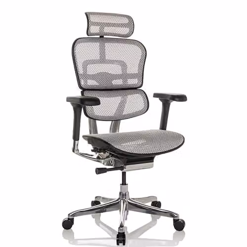 hjh OFFICE Ergohuman Gen 2 Ergonomische Bureaustoel met flexibele lendensteun, Lichtgrijs