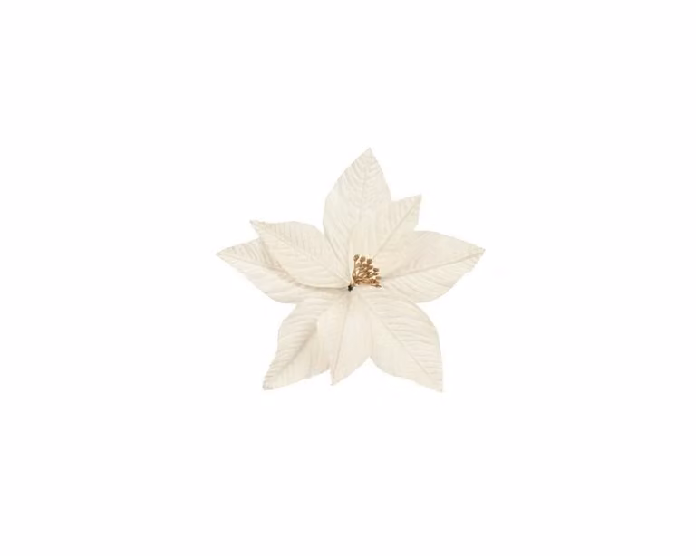 Everlands Poinsettia kerstbloem op clip van fluweel en polyester, wit of rood, 25 cm