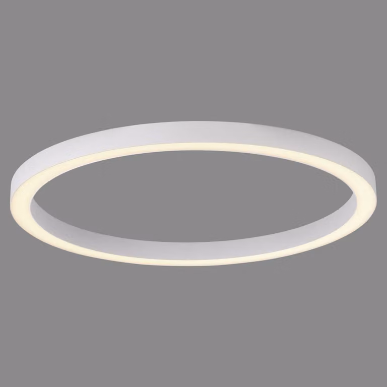 Paul Neuhaus Pure Lines Round LED plafondlamp - Wit - Ø 70 cm - Dimbaar met afstandsbediening
