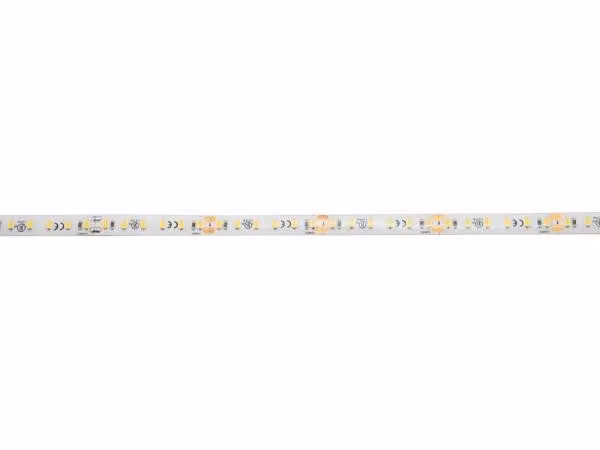 Eurolite LED IP-strip 600, 5 meter, 2835 LED's, 4000K warm wit, 24V