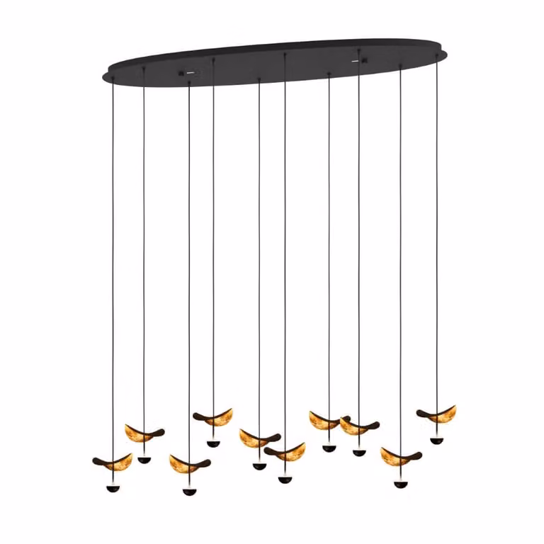Stars of Light Dracera Ovale Hanglamp zwart en goud/messing