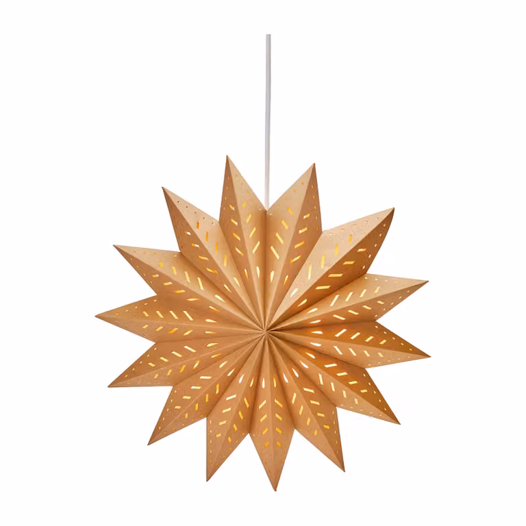 PR Home Alfa adventster bruin, 60 cm