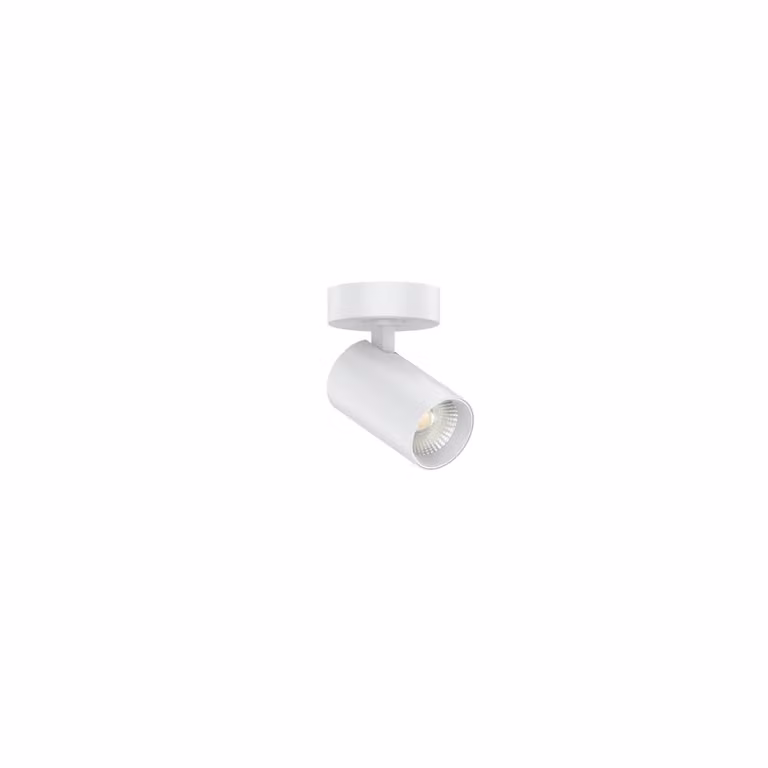 Lyora Led opbouwspot Tevo enkel - Wit - 2700K warm wit