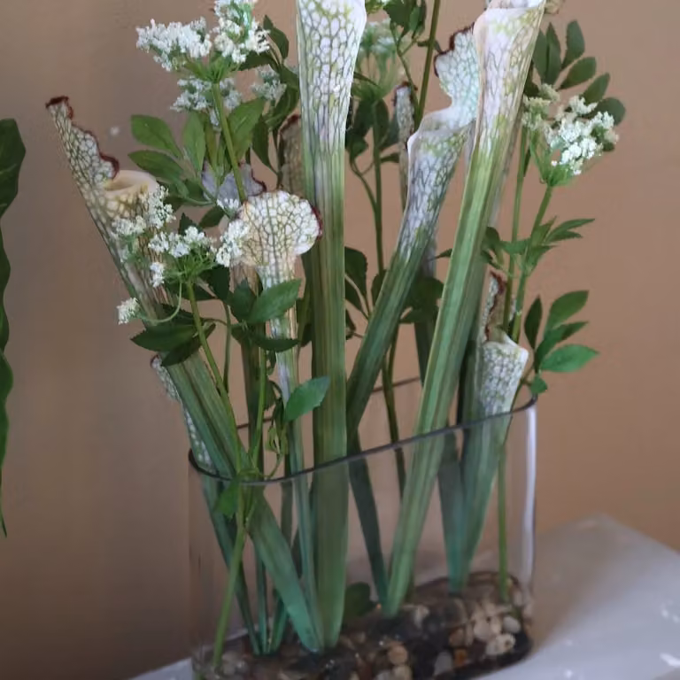 PTMD Moderne groene planten in een glazen vaas voor op tafel