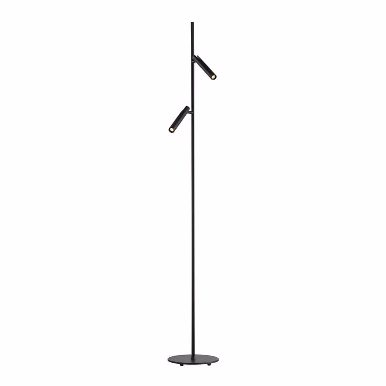 Lyora Moderne Led Vloerlamp Nydle 2-Lichts - Zwart