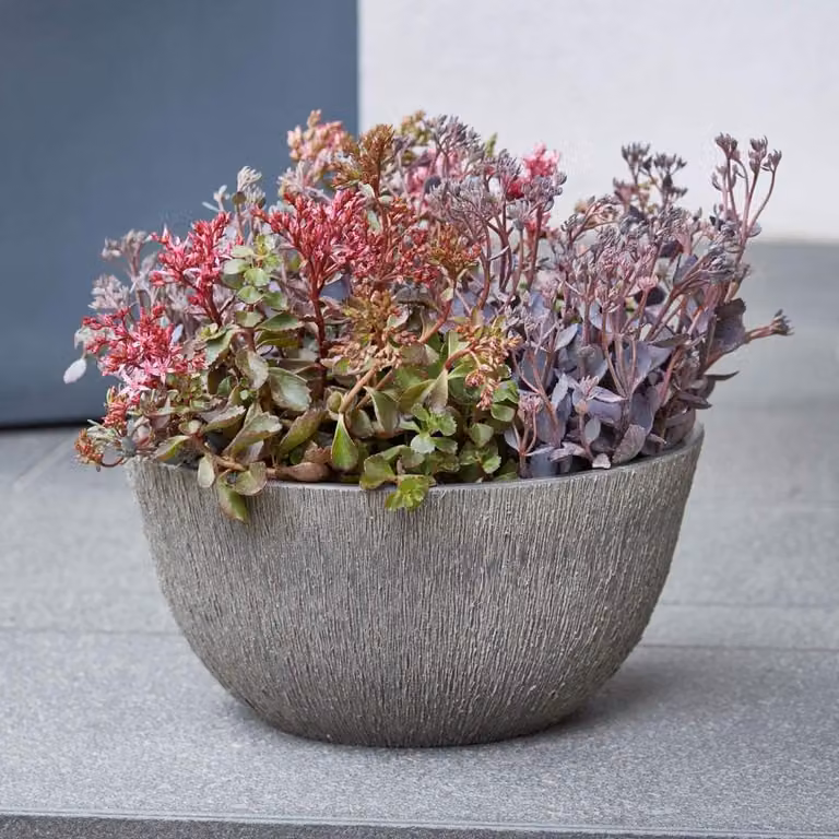 Antraciet bloemschaal van duurzaam kunststofmengsel met een diameter van 26 cm