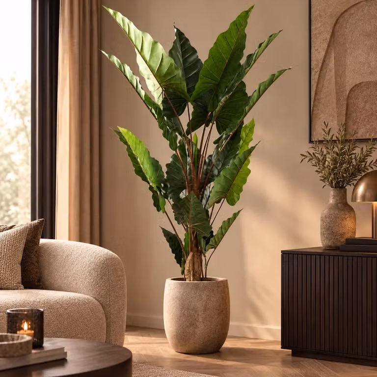 PTMD Kunstplant groen blad in zwarte pot, Hoogte: 170 cm